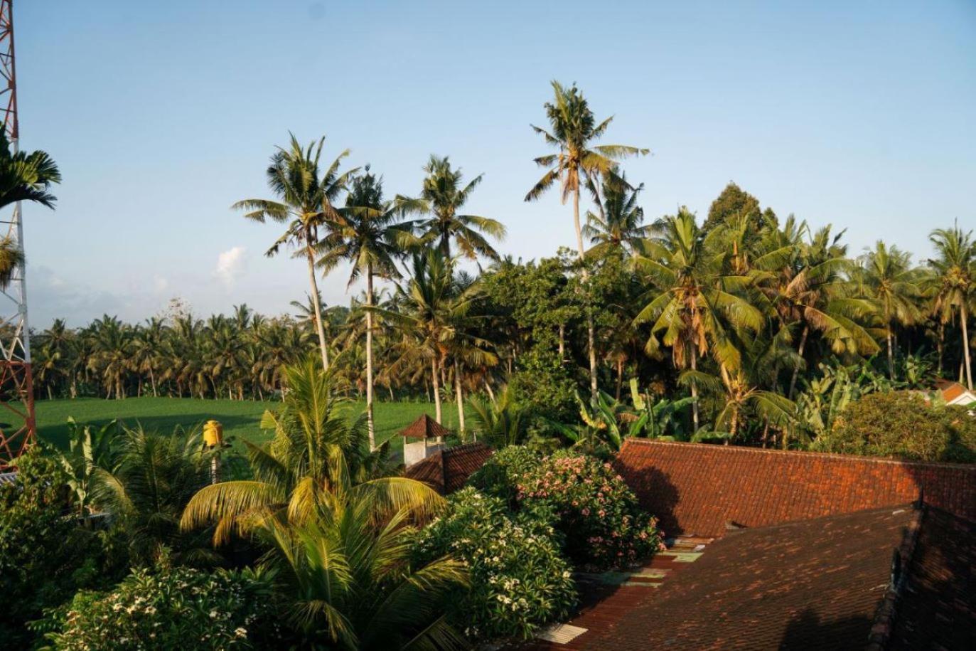 Ubud Backpacker Hostel Exterior photo